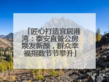 匠心打造宜居港湾：泰安直管公房焕发新颜，群众幸福指数节节攀升
