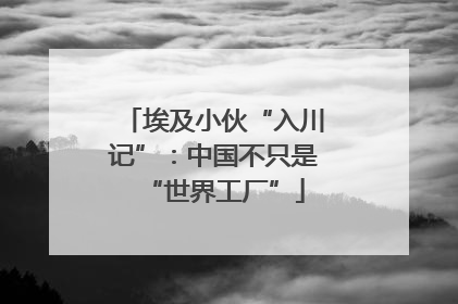 埃及小伙“入川记”：中国不只是“世界工厂”