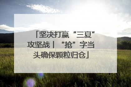 坚决打赢“三夏”攻坚战丨“抢”字当头确保颗粒归仓