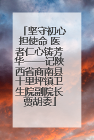 坚守初心担使命 医者仁心铸芳华——记陕西省商南县十里坪镇卫生院副院长贾胡委