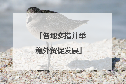各地多措并举稳外贸促发展