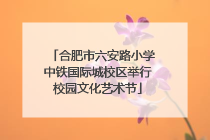 合肥市六安路小学中铁国际城校区举行校园文化艺术节