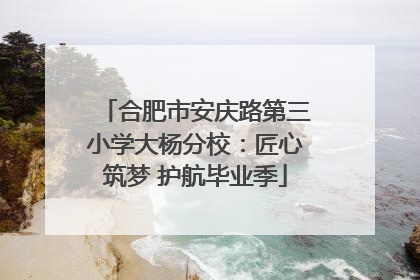 合肥市安庆路第三小学大杨分校：匠心筑梦 护航毕业季