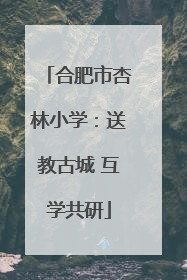 合肥市杏林小学：送教古城 互学共研