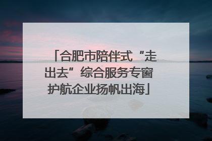 合肥市陪伴式“走出去”综合服务专窗护航企业扬帆出海