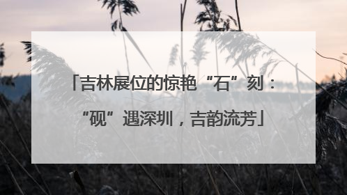 吉林展位的惊艳“石”刻：“砚”遇深圳，吉韵流芳