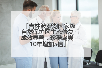 吉林波罗湖国家级自然保护区生态修复成效显著，珍稀鸟类10年增加5倍