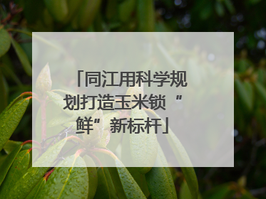 同江用科学规划打造玉米锁“鲜”新标杆