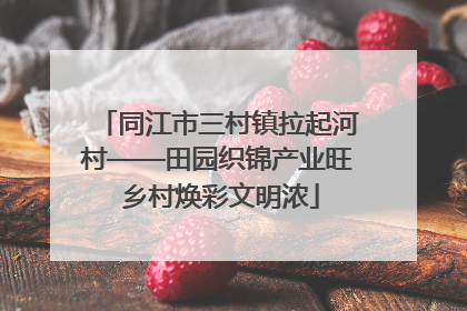 同江市三村镇拉起河村——田园织锦产业旺 乡村焕彩文明浓
