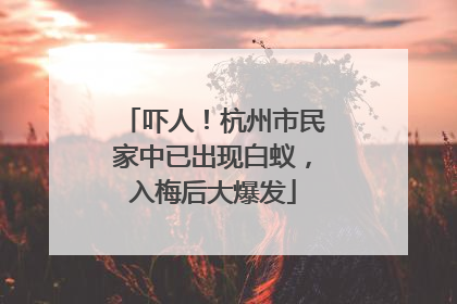 吓人！杭州市民家中已出现白蚁，入梅后大爆发