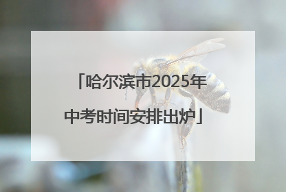 哈尔滨市2025年中考时间安排出炉