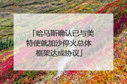 哈马斯确认已与美特使就加沙停火总体框架达成协议
