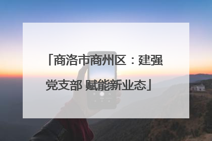 商洛市商州区：建强党支部 赋能新业态