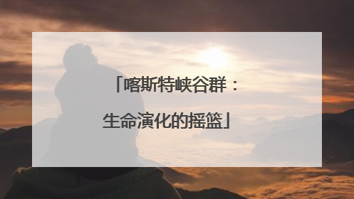 喀斯特峡谷群：生命演化的摇篮
