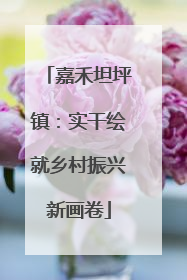 嘉禾坦坪镇：实干绘就乡村振兴新画卷