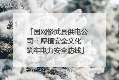 国网修武县供电公司：厚植安全文化 筑牢电力安全防线