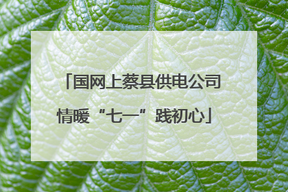 国网上蔡县供电公司情暖“七一”践初心