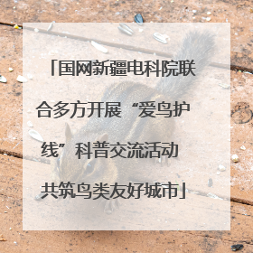国网新疆电科院联合多方开展“爱鸟护线”科普交流活动 共筑鸟类友好城市