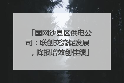 国网沙县区供电公司：联创交流促发展，降损增效创佳绩