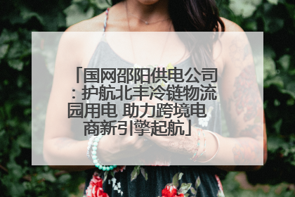 国网邵阳供电公司：护航北丰冷链物流园用电 助力跨境电商新引擎起航