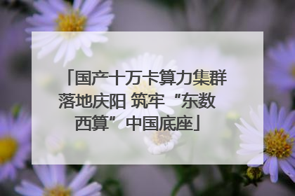 国产十万卡算力集群落地庆阳 筑牢“东数西算”中国底座