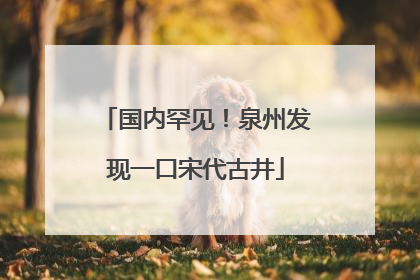国内罕见！泉州发现一口宋代古井