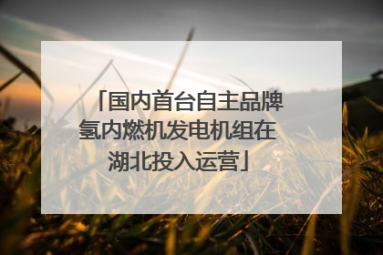 国内首台自主品牌氢内燃机发电机组在湖北投入运营