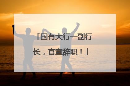 国有大行一副行长，官宣辞职！