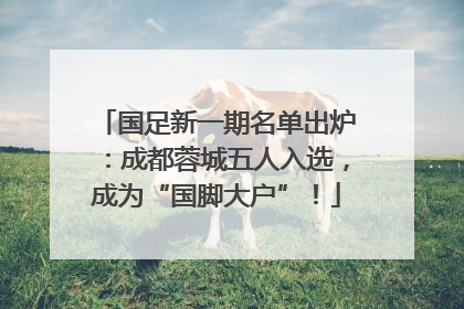 国足新一期名单出炉：成都蓉城五人入选，成为“国脚大户”！