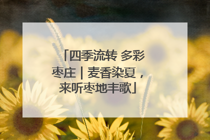 四季流转 多彩枣庄｜麦香染夏，来听枣地丰歌