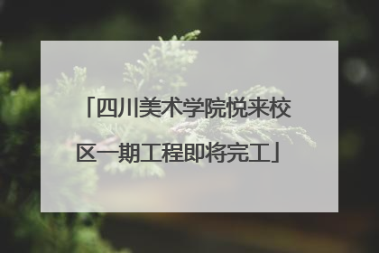 四川美术学院悦来校区一期工程即将完工