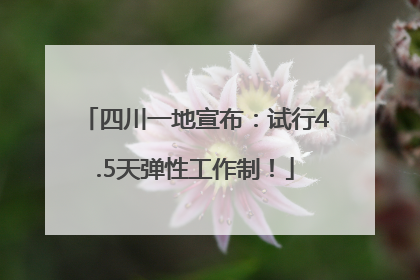 四川一地宣布：试行4.5天弹性工作制！