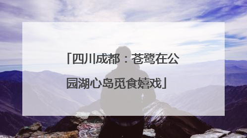 四川成都：苍鹭在公园湖心岛觅食嬉戏