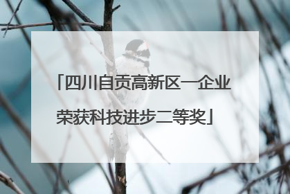 四川自贡高新区一企业荣获科技进步二等奖