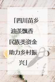 四川苗乡油茶飘香 民族类资金助力乡村振兴