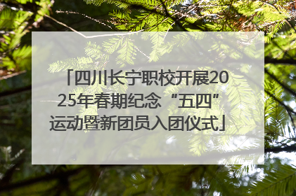 四川长宁职校开展2025年春期纪念“五四”运动暨新团员入团仪式