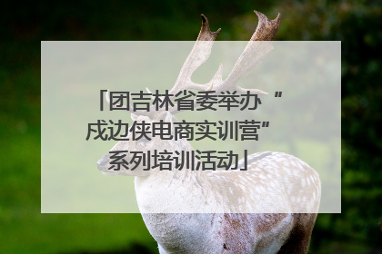 团吉林省委举办“戍边侠电商实训营”系列培训活动