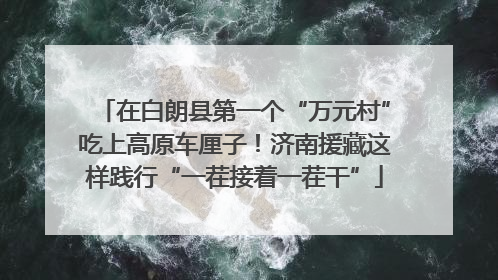 在白朗县第一个“万元村”吃上高原车厘子！济南援藏这样践行“一茬接着一茬干”