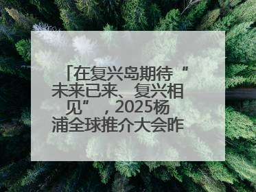 在复兴岛期待“未来已来、复兴相见”，2025杨浦全球推介大会昨晚举行