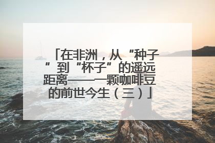 在非洲，从“种子”到“杯子”的遥远距离——一颗咖啡豆的前世今生（三）