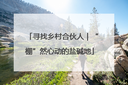 寻找乡村合伙人｜“棚”然心动的盐碱地