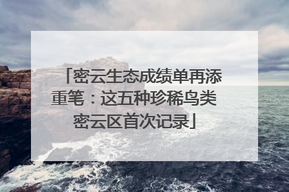 密云生态成绩单再添重笔：这五种珍稀鸟类密云区首次记录
