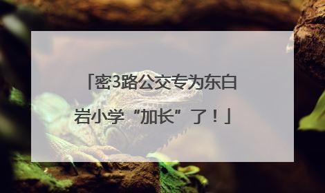 密3路公交专为东白岩小学“加长”了！