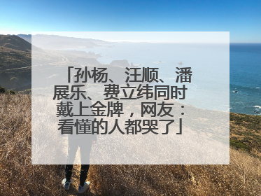 孙杨、汪顺、潘展乐、费立纬同时戴上金牌，网友：看懂的人都哭了