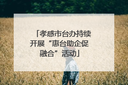 孝感市台办持续开展“惠台助企促融合”活动