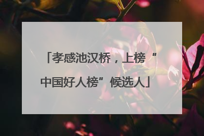 孝感池汉桥，上榜“中国好人榜”候选人