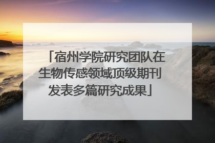 宿州学院研究团队在生物传感领域顶级期刊发表多篇研究成果