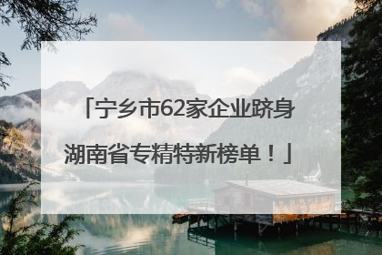 宁乡市62家企业跻身湖南省专精特新榜单！