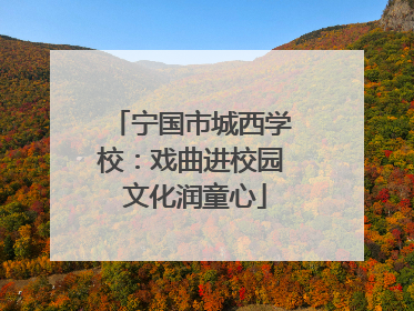 宁国市城西学校：戏曲进校园 文化润童心