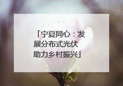 宁夏同心：发展分布式光伏 助力乡村振兴